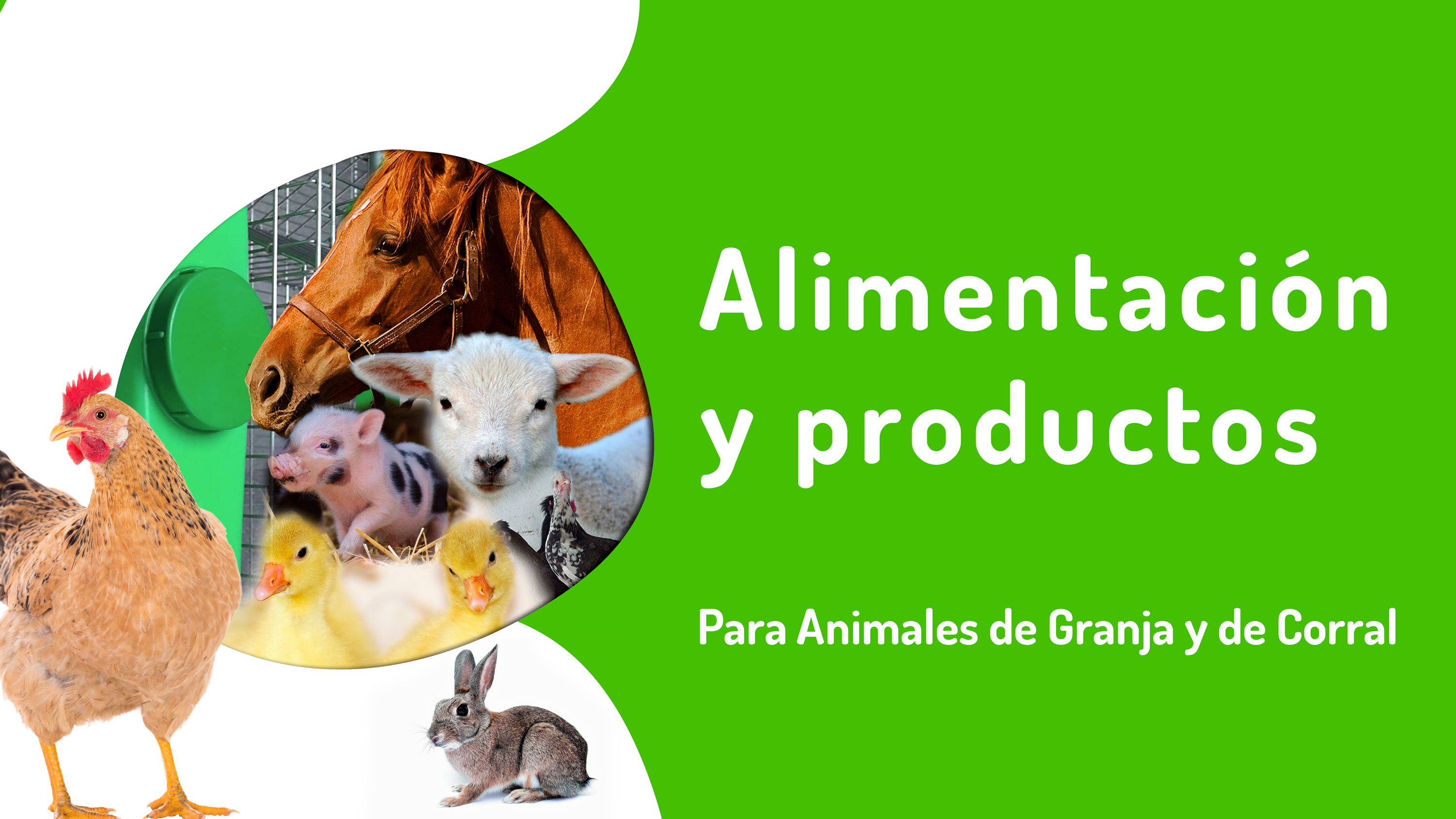 animales de-granja-OP-Agrosoluciones