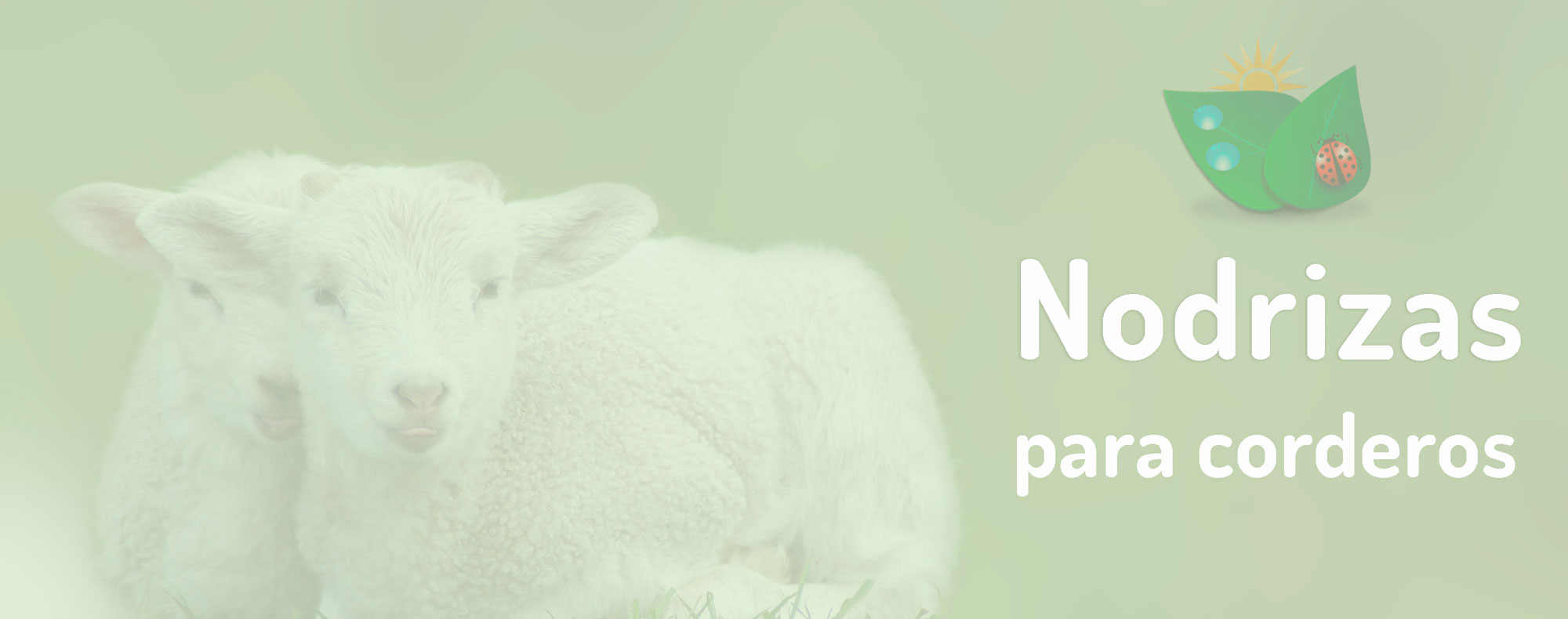 HERRAMIENTAS NODRIZA-CORDERO