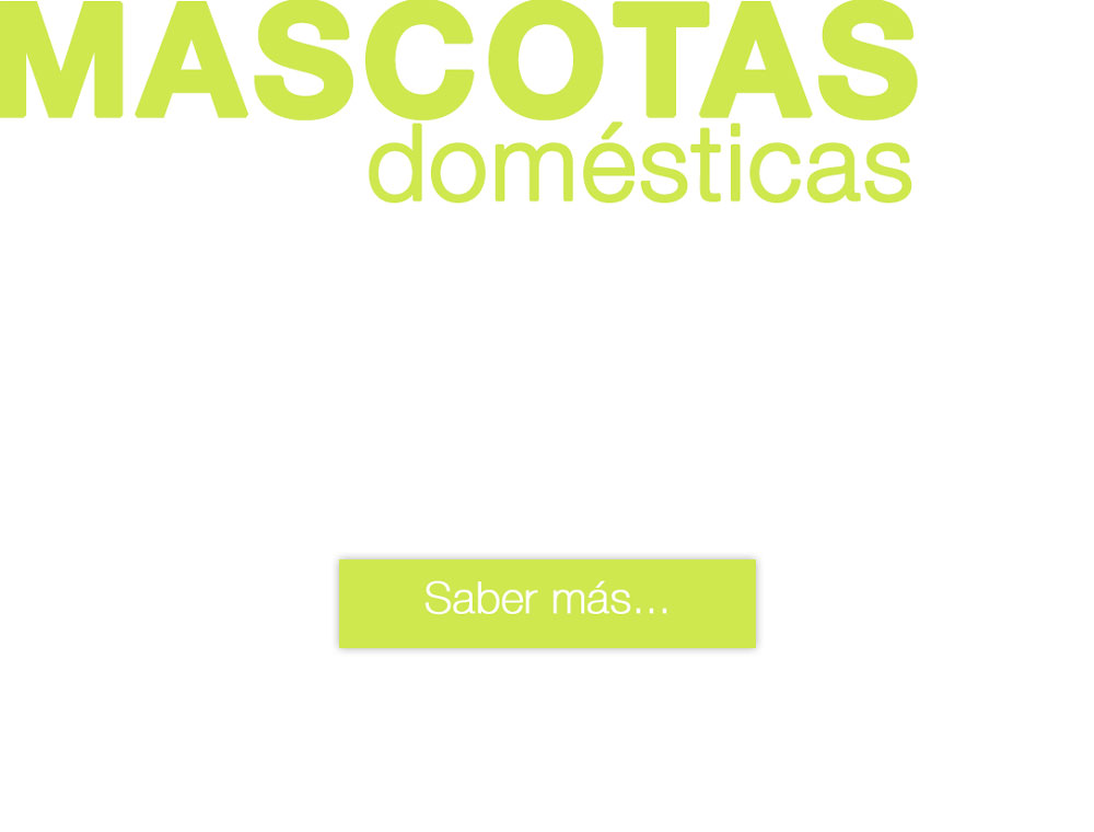 masdcotas boton-pequenio