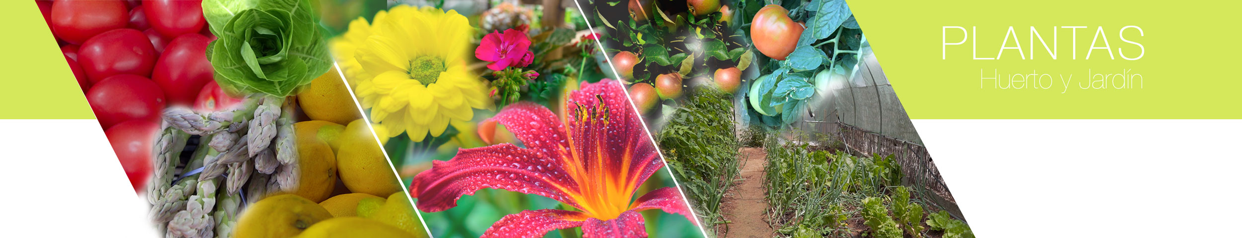 animales de-granja-OP-Agrosoluciones